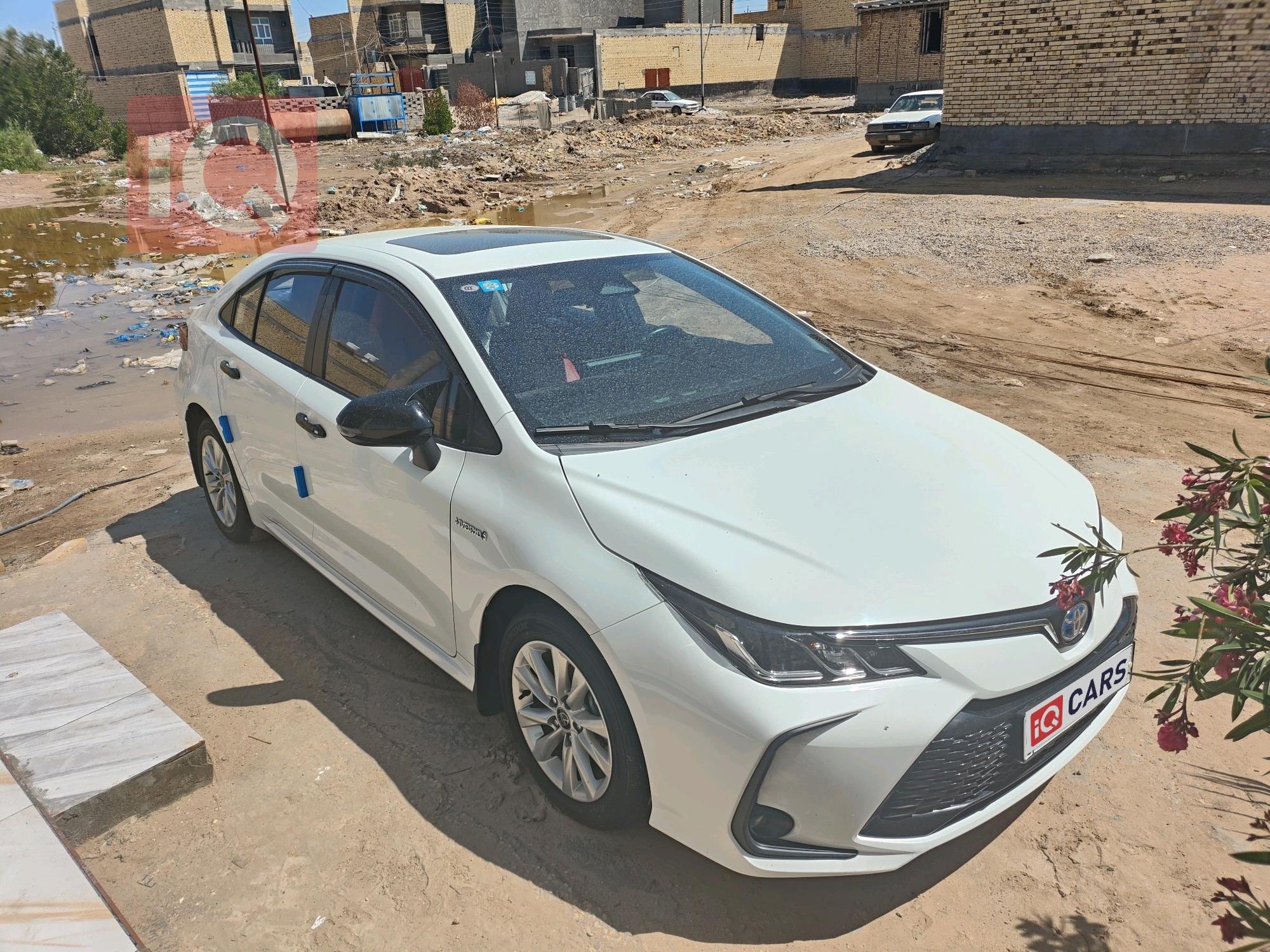 تويوتا كورولا